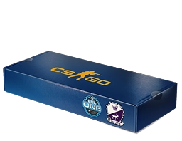 ESL One Cologne 2014 Cobblestone Souvenir Package