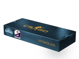 ESL One Katowice 2015 Cobblestone Souvenir Package