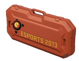 eSports 2013 Case