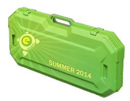 eSports 2014 Summer Case